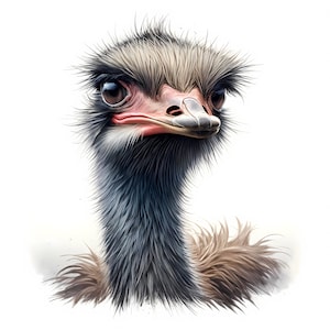 Struisvogel Clipart | 12 hoogwaardige JPG's | Struisvogel clipartbundel | Muurkunst | Safarikunst | Kinderkamerdecoratie | Afdrukbare items | Commercieel gebruik