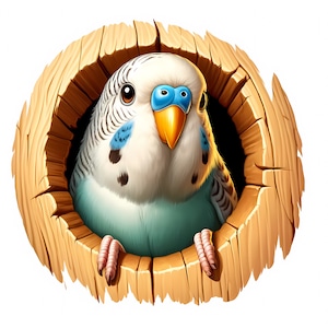 Budgie Clipart | 12 High-Quality JPGs | Stunning Budgie Clipart Bundle | Bird Art | Wall Art | Printables | Commercial Use
