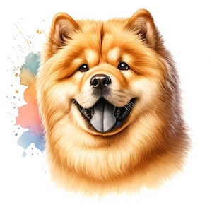 Chow Chow Clipart | 12 JPGs de alta qualidade | Pacote de clipart elegante de Chow Chow | Arte de parede | Artesanato em papel | Arte canina | Uso comercial