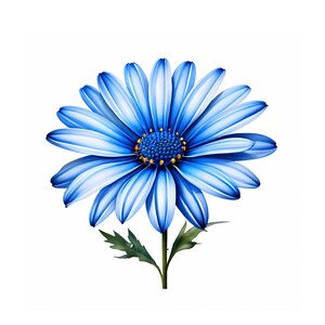 Clipart margherita blu / 10 JPG di alta qualità / Pacchetto clipart / Arte murale / Lavori di carta / Stampe digitali / Uso commerciale