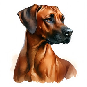 Rhodesian Ridgeback Dog Clipart - 10 hoogwaardige JPG's - Digitale download - Kaarten maken, illustraties, Digital Paper Craft, commerciële licentie