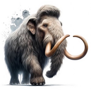 Mammoth Clipart | 12 High-Quality JPGs | Majestic Mammoth Clipart Bundle | Wall Art | Ice Age Wildlife | Prehistoric |  Commercial Use