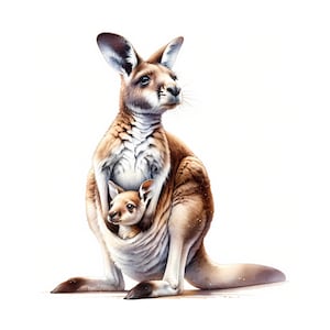 Clipart di canguro - 12 JPG di alta qualità - Pacchetto clipart - Arte murale - Artigianato di carta - Fauna selvatica australiana - Materiali stampabili - Uso commerciale