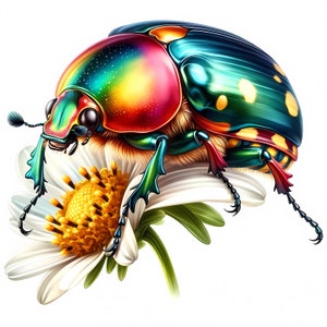 May include: A vibrant, iridescent beetle with green, blue, red, and yellow markings perched on a white flower with a yellow center.
