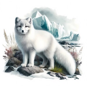 Clipart renard arctique | 12 fichiers JPG de haute qualité | Lot de cliparts renard arctique enneigé | Art mural | Faune hivernale | Imprimable | Utilisation commerciale