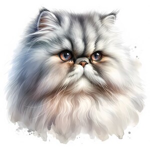 ペルシャ猫のクリップアート - 10 個の高品質 JPG - デジタル ダウンロード - カード作成、クリップアート、デジタル ペーパー クラフト、商用ライセンス
