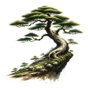 Bonsai Tree Clipart | 12 JPGs de alta qualidade | Decoração inspirada na natureza | Aquarela | Arte de parede | Decoração para casa | Uso comercial