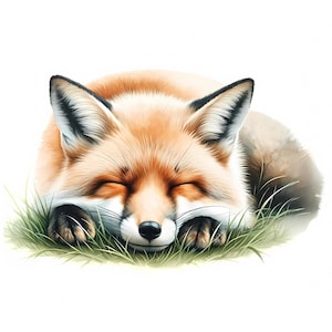 Clipart renard | 10 fichiers JPG de haute qualité | Lot de cliparts renard fantaisiste | Art mural | Art de renard | Art animalier | Imprimables | Utilisation commerciale