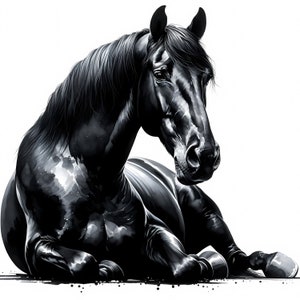 Clipart cheval noir | 13 fichiers JPG de haute qualité | Superbe lot de cliparts cheval noir | Art mural | Art équin | Imprimable | Utilisation commerciale