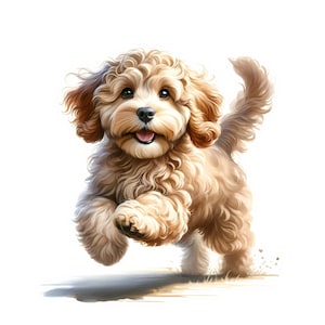 Clipart chien cockapoo - 12 fichiers JPG de haute qualité - téléchargement numérique - fabrication de cartes, clipart, créations numériques en papier, licence commerciale