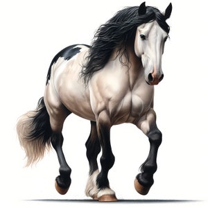 Clipart cheval Mustang | 12 fichiers JPG de haute qualité | Lot de cliparts | Art mural | Art équestre | Créations en papier | Imprimables | Utilisation commerciale