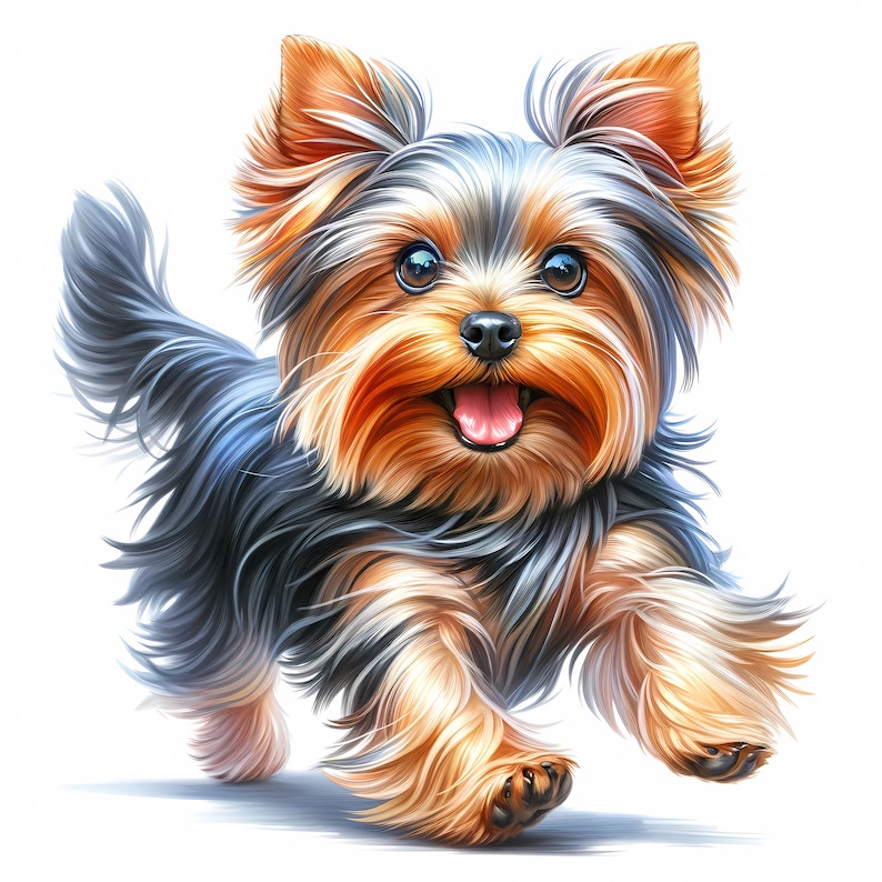 May include: A small Yorkshire Terrier dog with brown and black fur is running towards the camera with its tongue sticking out. The dog has a happy expression on its face.