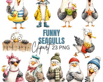 Funny Seagulls Clipart: Silly Seagull Graphics, Coastal Ocean Bird (Digital Download) 23 PNG