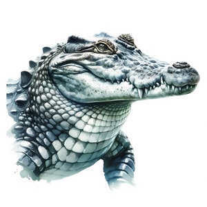 May include: A close-up of a crocodile's head, painted in shades of blue and green. The crocodile's scales are visible, and its eyes are open and alert.
