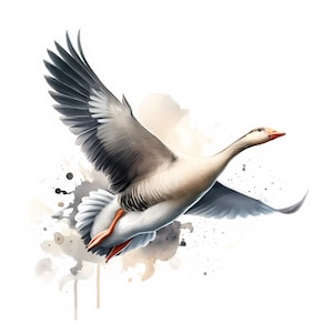 Clipart Oie | 12 fichiers JPG de haute qualité |  Lot de cliparts charmante oie | Art mural | Art d'oiseau | Créations en papier | Utilisation commerciale