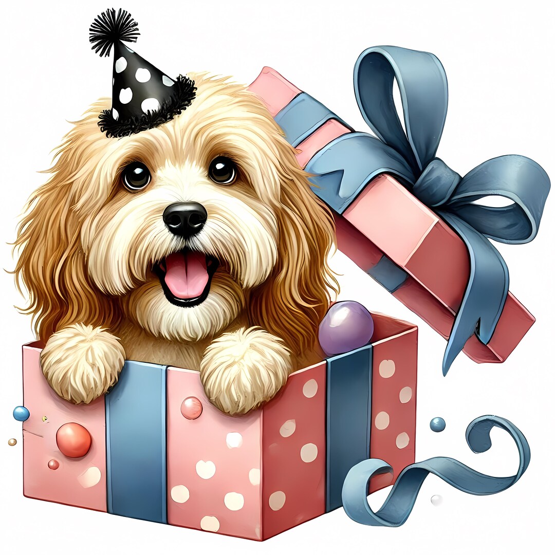Party Cockapoo Cockapoo Birthday Clipart | Party Dog Art 11 Jpgs (commercial Use) - Etsy