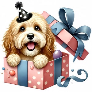 Pode incluir: Um pequeno cão castanho claro usando um chapéu de festa de bolinhas pretas e brancas sai de uma caixa de presente de bolinhas rosa e azul com uma fita azul.