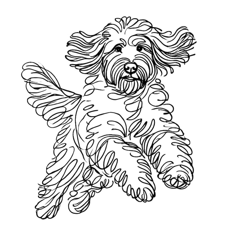 May include: Line drawing of a fluffy dog with curly fur, running and looking to the side. The dog is drawn in black ink on a white background.