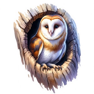 Clipart kerkuil | 12 hoogwaardige JPG's | Elegante kerkuil clipartbundel | Natuurkunst | Nachtelijke vogelkunst | Afdrukbaar | Commercieel gebruik