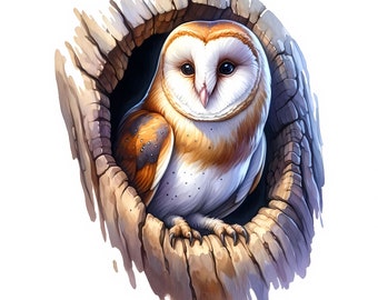Barn Owl Clipart | Wildlife Art (Digital Download) Set of 12 JPGs