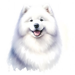 Samojeed hond clipart-10 hoge kwaliteit jpg's-digitale download-kaarten maken, illustraties, digitale papierkunst, commerciële licentie