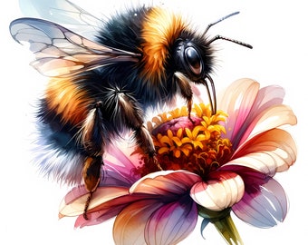 Bumblebee Flower Clipart – JPGs (Digital Download)