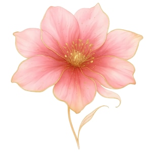 Abstract Flowers Clipart, 12 High-Quality PNGs, Pink Gold Flower Bundle, Watercolor clipart, Flowers Print, Paper craft, junk journals