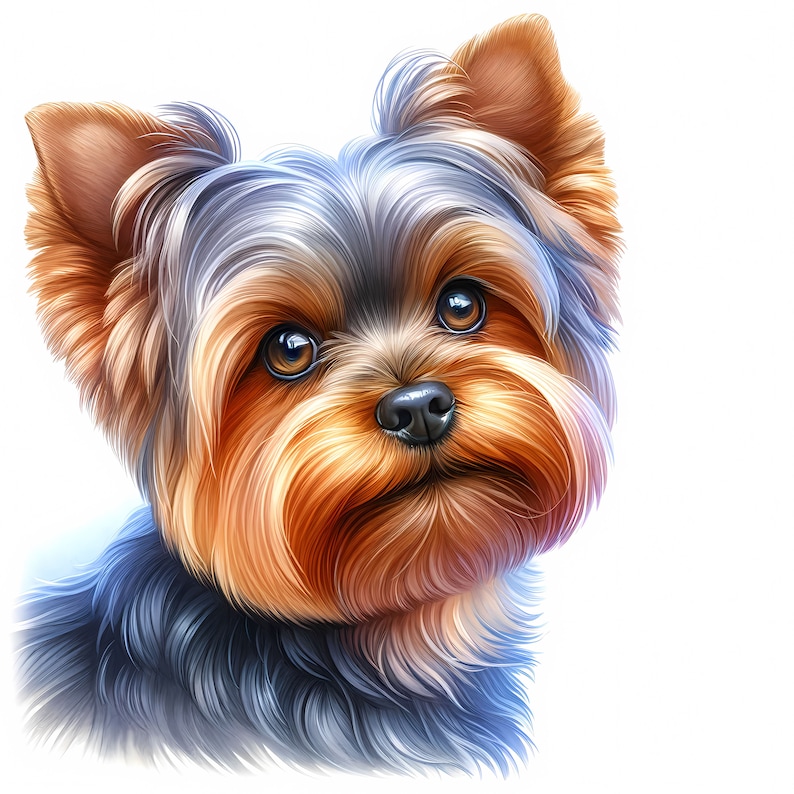 May include: A close-up portrait of a Yorkshire Terrier dog with brown, black, and gray fur. The dog has a sweet expression and is looking directly at the viewer.