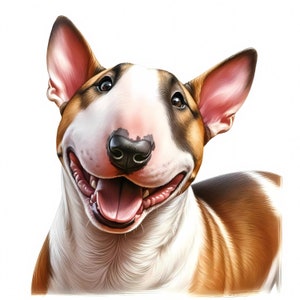 Bull Terrier Clipart Bundle – Dog Art (Digital Download)
