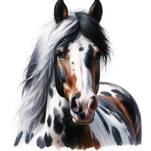 Clipart cheval de peinture | 12 fichiers JPG de haute qualité |  Lot de cliparts | Art mural | Amateurs de chevaux | Art équin | Créations en papier | Utilisation commerciale