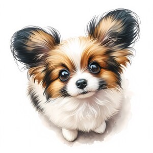 Papillon Dog Clipart | 10 High-quality Jpgs | Clipart Bundle | Wall Art ...