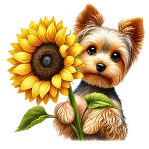 10PNG/JPG, Yorkie and Flowers Clipart | | Adorable Yorkshire Terrier Clipart Bundle | Wall Art | Papercrafts | Watercolor | Commercial Use