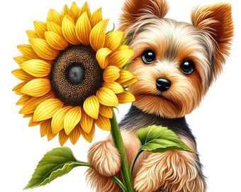 Pacchetto clipart di Yorkshire Terrier e fiori: Yorkshire Terrier acquerello (11 PNG/JPG, download digitale)