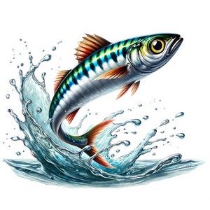 Anchovy Clipart | 11 High-quality Jpgs | Realistic Anchovy Clipart ...