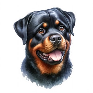 Clipart Rottweiler | 11 fichiers JPG de haute qualité | Lot de cliparts élégants pour rottweiler | Art mural | Créations en papier | Aquarelle | Utilisation commerciale