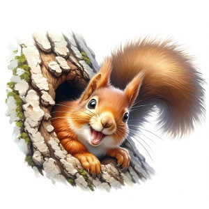 3D Squirrel Clipart | 11 JPGs de alta qualidade | Pacote de clipart | Artesanato em papel digital | Para impressão | Arte de esquilo | Uso comercial