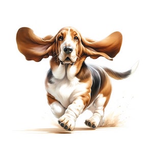 Basset Hound Art – Dog Clipart (Digital Download)