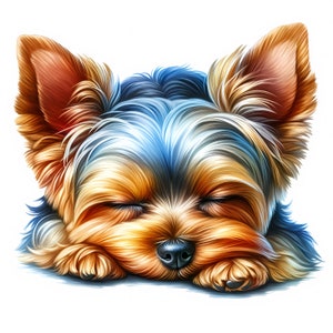 May include: A small Yorkshire Terrier dog with brown, black, and blue fur is sleeping with its eyes closed. The dog is lying on its side with its paws tucked under its body.