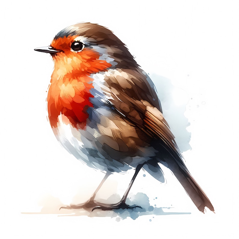 Cute Robin Clipart Bundle | High-quality Bird Art (digital Prints ...