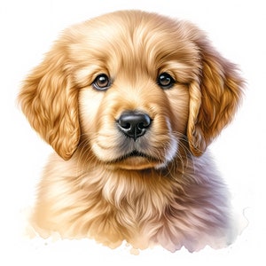 Golden Retriever Puppy Clipart - 11 JPG di alta qualità - Pacchetto di Clipart di cuccioli carini - Arte murale - Lavori di carta - Stampe digitali - Uso commerciale