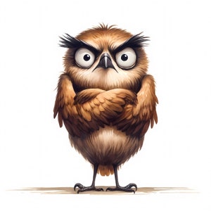 Imágenes prediseñadas de pájaros gruñones / 12 archivos JPG de alta calidad / Paquete de imágenes divertidas de pájaros gruñones / Arte de aves divertido / Imprimibles / Uso comercial