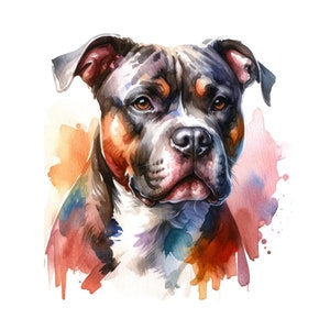 American Pitbull Clipart - 10 High Quality JPGs - Digital Download - Card Making, Clip Art, Digital Paper Craft, Commercial License