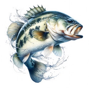 Imágenes prediseñadas de lubina / 11 archivos JPG de alta calidad / Paquete de imágenes prediseñadas / Arte mural de peces / Manualidades de papel / Impresiones digitales / Ropa / Uso comercial