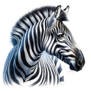 Zebra-afbeeldingen | 12 hoogwaardige JPG's | Clipartbundel | Muurkunst | Dierendecoratie | Safarikunst | Afdrukbare items | Commercieel gebruik