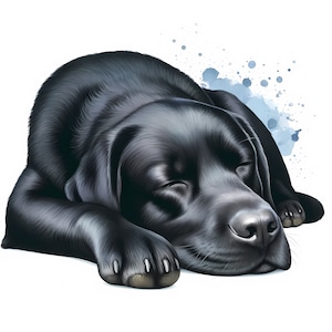 black Labrador Clipart | 12 High-Quality JPGs | Adorable Labrador Retriever Clipart Bundle | Wall Art | Dog Art  | Commercial Use