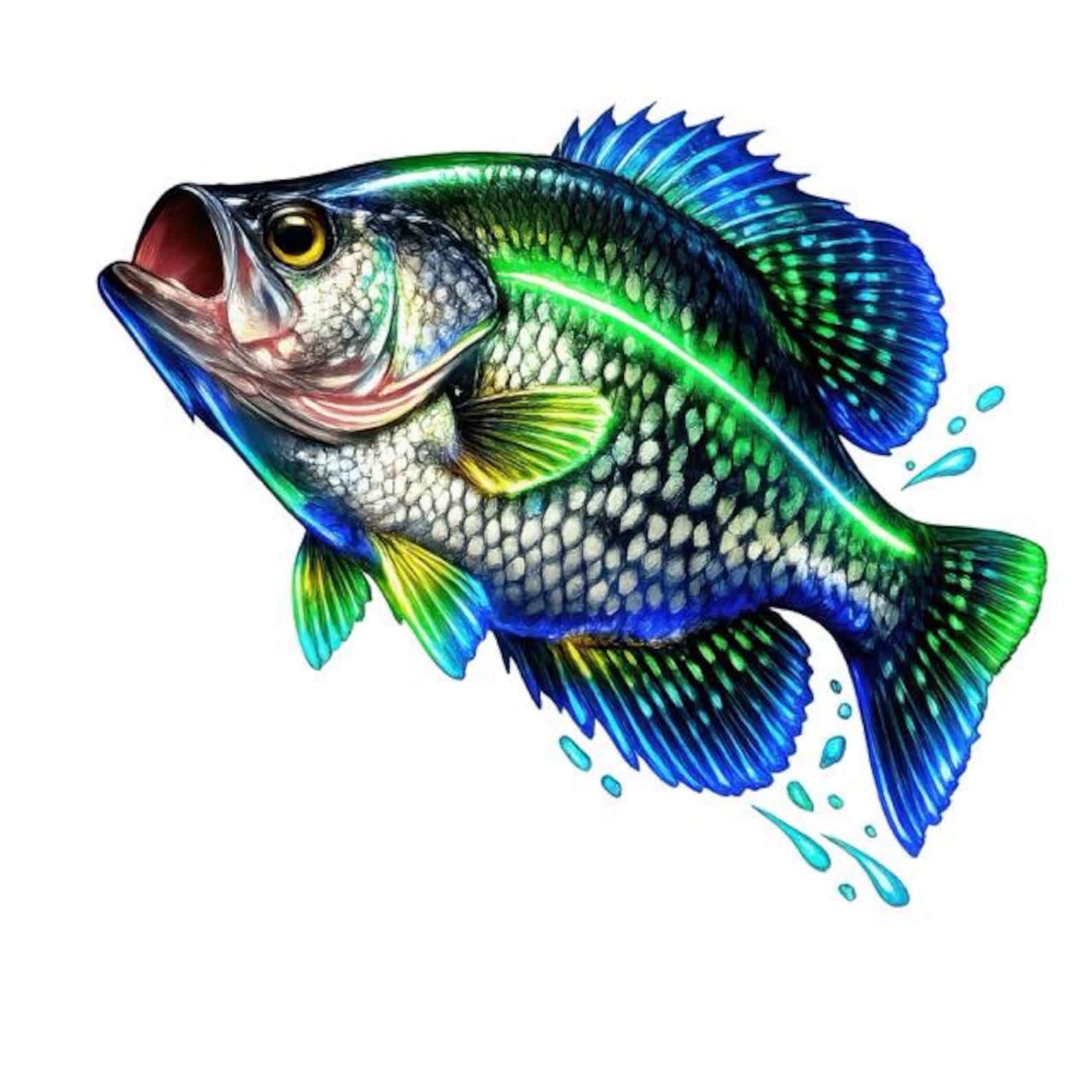Crappie Fish Graphics Neon Crappie Fish Clipart, Colorful Fishing Graphics, Digital Download ...