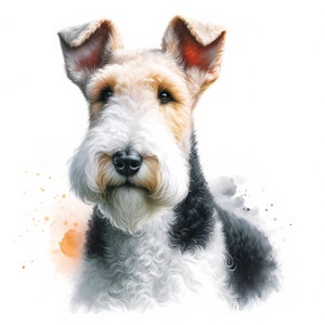 Draadfoxterrier-clipart | 11 hoogwaardige JPG's | Clipartbundel | Muurkunst | Terriërkunst | Hondenontwerp | Afdrukbaar | Commercieel gebruik