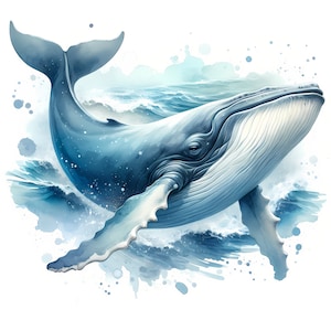 Clipart de ballena jorobada - 12 archivos JPG de alta calidad - Paquete de ballenas - Descarga digital - Creación de tarjetas, arte mural, manualidades con papel, uso comercial
