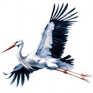 Clipart cigogne - 11 fichiers JPG de haute qualité - ensemble de cliparts cigogne majestueux - oeuvres d'art oiseaux - imprimables - créations en papier - usage Commercial