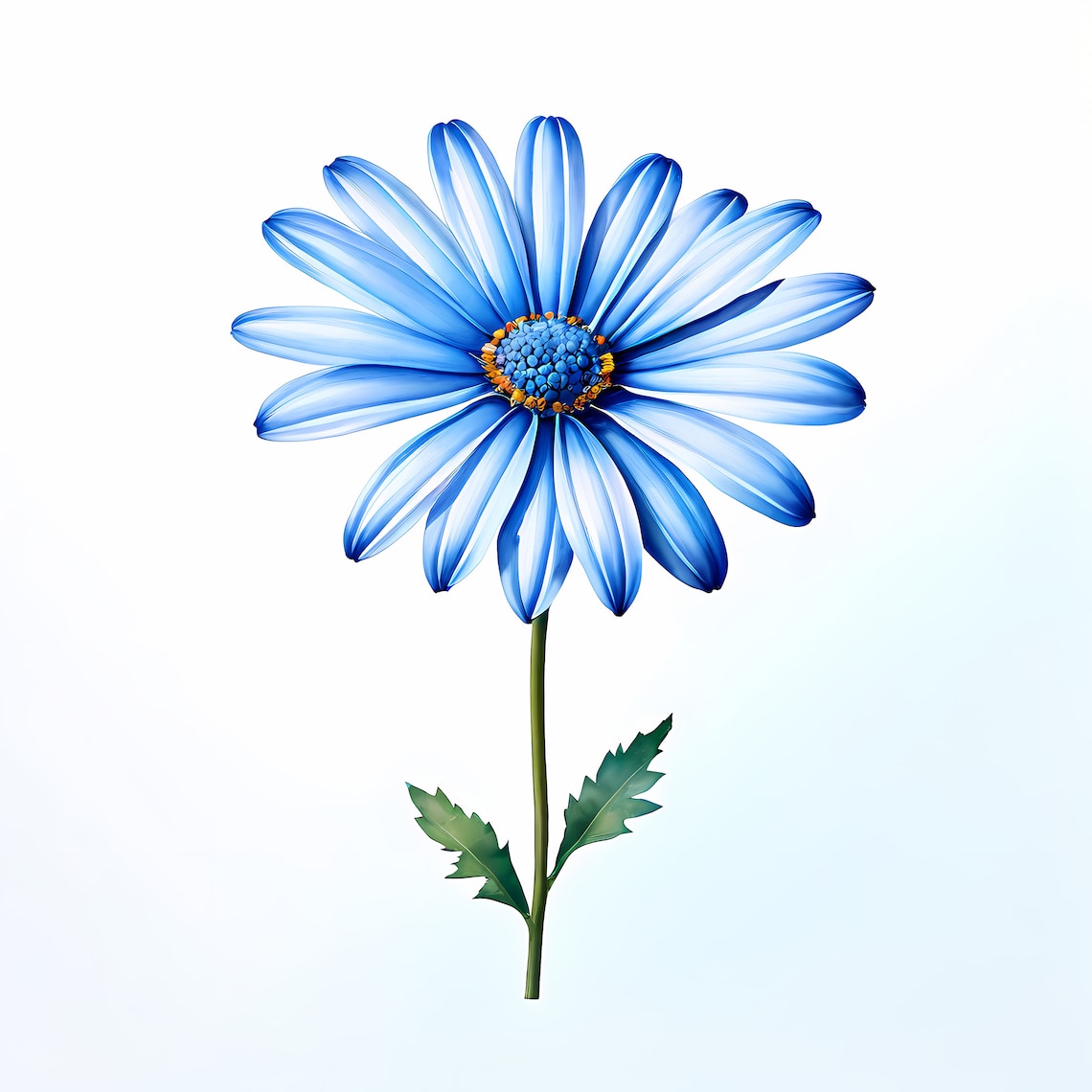 Blue Daisy Clipart | Floral JPG Bundle (digital Download) Set of 10 - Etsy